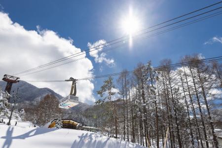 【2025-2026冬】離れた地域の利用者がスキー場で合流