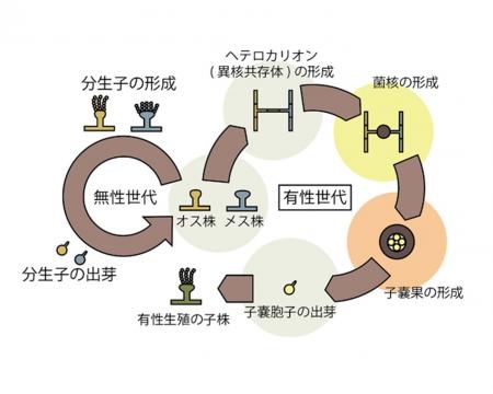 ぐるなび・東京科学大学「ぐるなび食の価値創成共同研
