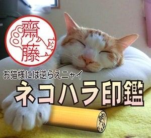 猫が名前の邪魔をするハンコ「ネコハラ印鑑」は、邪魔