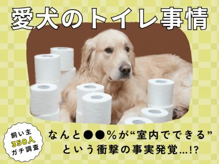 【飼い主350人に調査】犬のトイレ事情が激変!●●%が“ 【飼い主350人に調査】犬のトイレ事情が激変!●●%が“