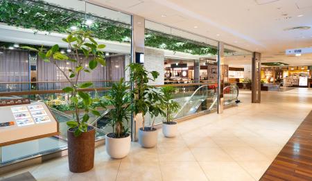 TUIN greenery ルミネ池袋で館内植栽のレンタルを実施