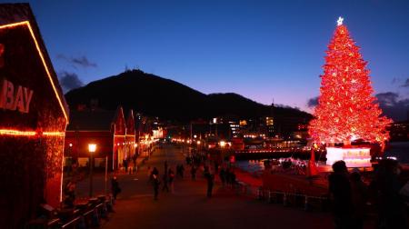 【函館×冬旅】夕食1泊分無料!海鮮バイキング付き連泊 【函館×冬旅】夕食1泊分無料!海鮮バイキング付き連泊