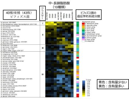 ビフィズス菌は菌種・菌株によって、含有する脂肪酸の