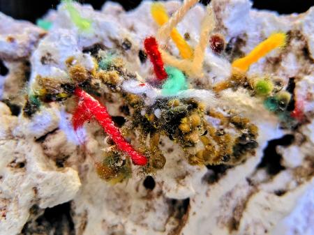 アトアで特別な冬を楽しもう！クリスマス期間限定の特