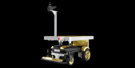 サウザーの10周年記念”純金箔”モデルと、サウザーの追