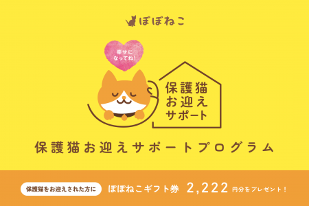 保護猫の“迷子”を防ぐ！ぽぽねこの支援プログラムが常