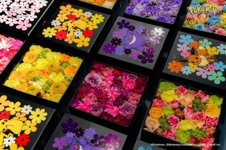 Nicolai Bergmann × Pokemon 11/25(火)に発売開始！