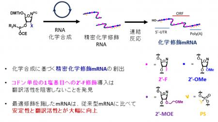 【名古屋大学】従来mRNAに対し100倍以上の翻訳活utf-8