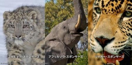 野生動物保全の新たなかたち 「スポンサーズ」プログ