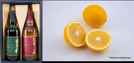 【ふるさと納税返礼品：「焼酎」編】宮崎県日南市の名