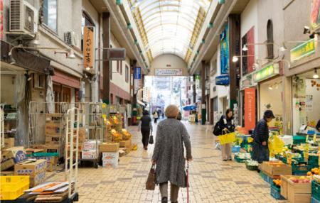 奈良県生駒市とふるさとチョイス、ふるさと納税制度を