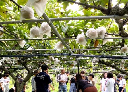鳴門の新たな名産品をめざして地元の子ども達が開発！