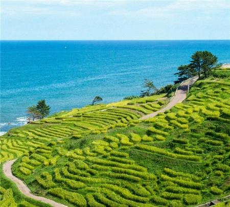 石川県能登地域における「起業伴走支援」地域おこし協