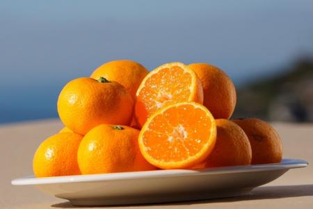 【冬の美味 × 美容 × 健康】栄養がギュッと詰まった極