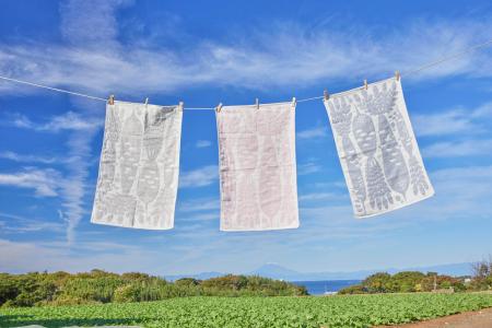 三浦野菜もようを纏う！生産者の物語と繋がる「三浦野