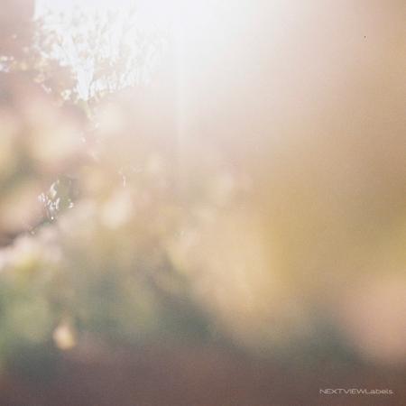 俳優やアートの分野で活躍するKanata yukinoが、NEXTV