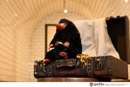 【株式会社セキグチ】『ファンタスティック・ビースト