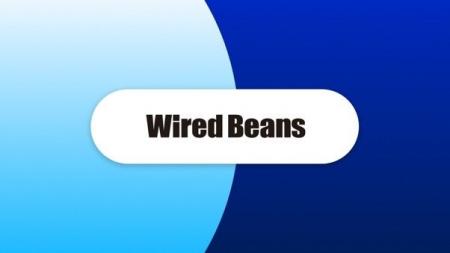 ワイヤードビーンズ、Salesforceのコマース向けAgentf ワイヤードビーンズ、Salesforceのコマース向けAgentf