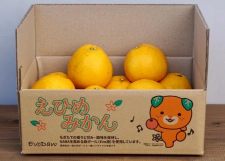 バイオマス由来のガスバリア材〈PLANTIC(R)〉がみかん