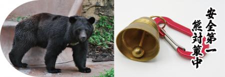 熊出没エリアでのポスティングに安全対策強化！まかせ