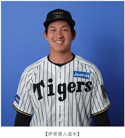 甲子園歴史館 特別企画阪神タイガース 伊原陵人utf-8 甲子園歴史館 特別企画阪神タイガース 伊原陵人utf-8