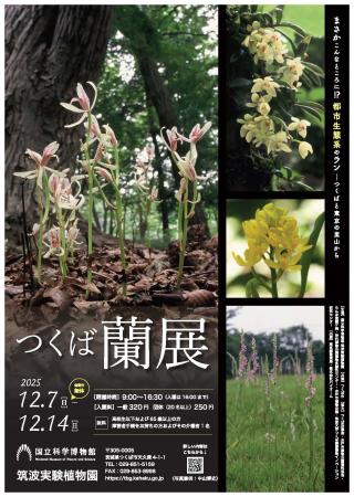 【国立科学博物館 筑波実験植物園】企画展「つくば蘭