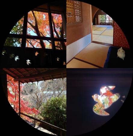 〈アートと文学〉を味わう茶会はいかが、大佛次郎記念