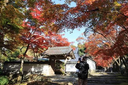 高槻市の古刹「神峯山寺」で紅葉が見頃 高槻市の古刹「神峯山寺」で紅葉が見頃