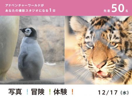 『写真！冒険！体験！アドベンチャーワールド』プロジ