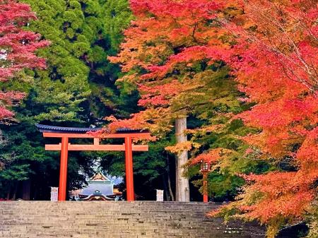 秋の霧島、紅葉スポットを紹介します！