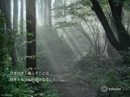 設立75年の建材商社が立ち上げた、国産材専門の家具ブ