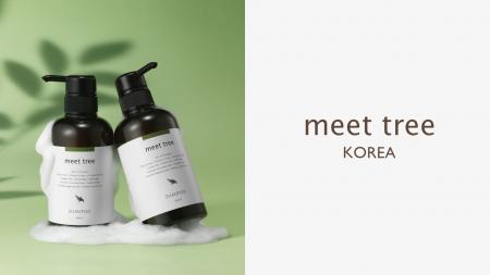 日本の森を韓国へ。岐阜・中津川発のｍeet treeが韓国