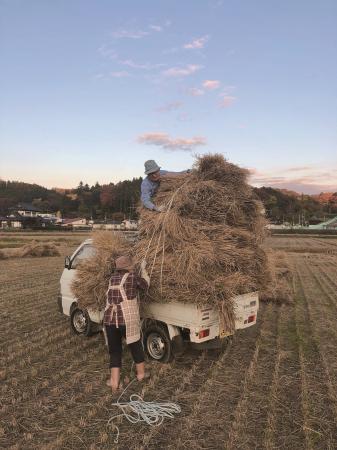 アイデムフォトギャラリー［シリウス］小学生・中学生