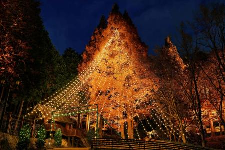 神戸クリスマスマーケット、ナイター営業日をさらに拡