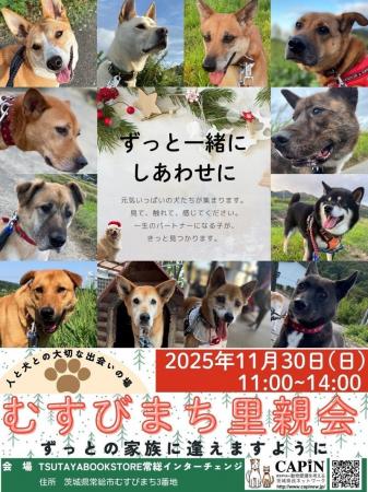 11月30日（日）「むすびまち里親会」開催！
