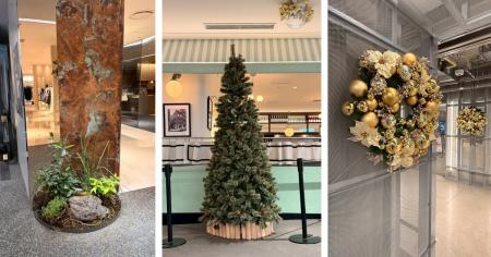 【京都高島屋S.C.専門店ゾーン［T8］】冬の装飾「Chri