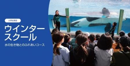 【鴨川シーワールド】第12回「ウインタースクール」開
