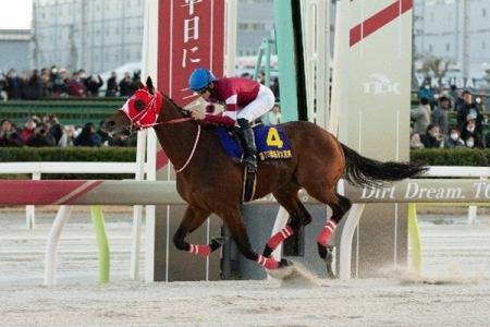 12月29日(月)は今年最後のGIレース「東京大賞典」! 12月29日(月)は今年最後のGIレース「東京大賞典」!
