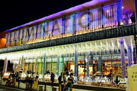 色彩豊かなイルミネーションが今年もまちなかを彩りま