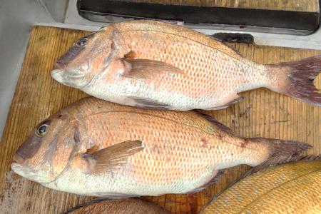 株式会社タカスイ × 株式会社Genki Global Dining Con