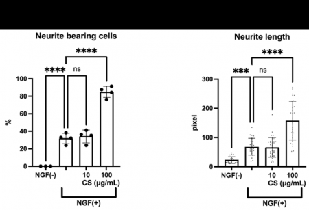 伝統的薬用素材である冬虫夏草（Hirsutella sinensis