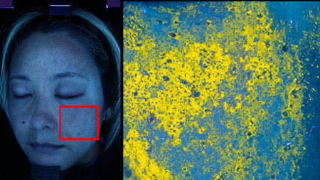 にんじんジュースを継続摂取した結果、7人中6人の隠れ にんじんジュースを継続摂取した結果、7人中6人の隠れ
