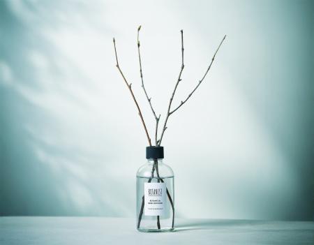 10周年のBOTANISTから、冬の特別な贈り物＜白樺の枝を