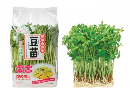 村上農園「豆苗」発売30周年! “家計のお助け野菜”は 村上農園「豆苗」発売30周年! “家計のお助け野菜”は