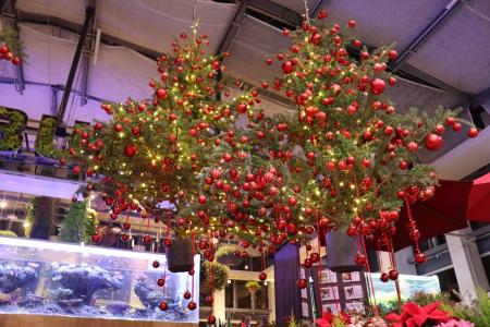 宙に浮いたクリスマスツリー「ツリーシャンデリア」が