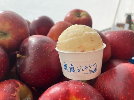 山梨の産地“津金りんご”を使ったジェラート冬季限定発