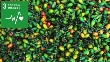 長年食されてきた植物の力:メリンジョ由来ポリフェノ 長年食されてきた植物の力:メリンジョ由来ポリフェノ