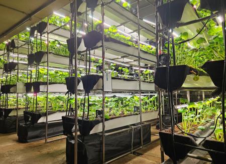 気候に左右されない“次世代わさび栽培”を小樽でutf-8