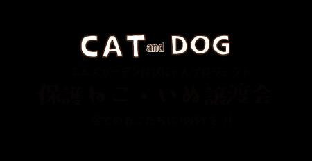 売上全額を保護活動費へ。宮崎の寝具メーカー菱友、規 売上全額を保護活動費へ。宮崎の寝具メーカー菱友、規