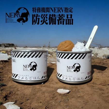 アニメ『エヴァンゲリオン』シリーズの世界観を取り込